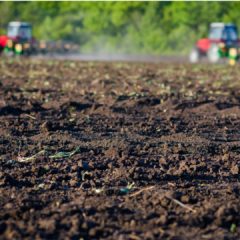 mutuo agrario