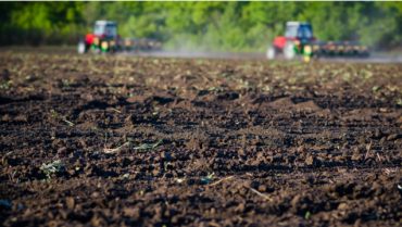mutuo agrario