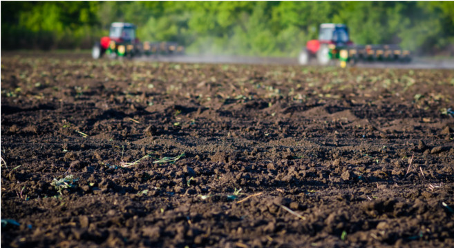 mutuo agrario