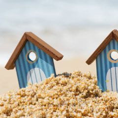 Surroga seconda casa