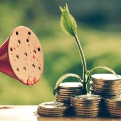 Equity Crowdfunding